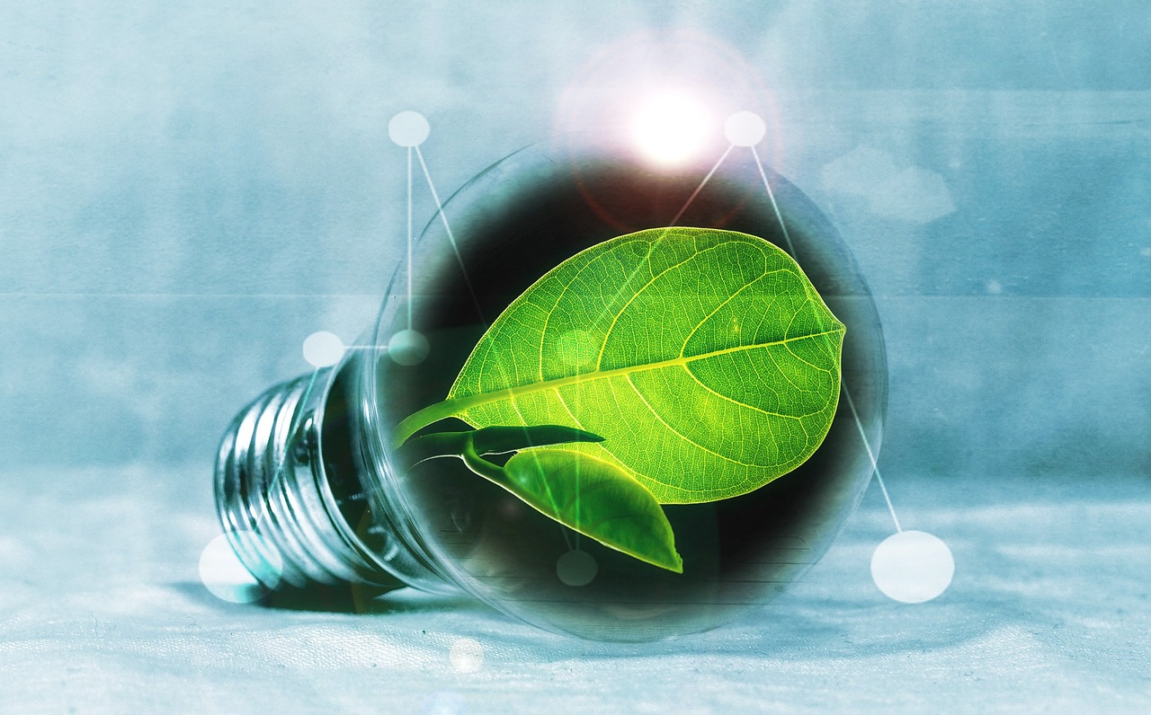 A lightbulb with a green leaf inside of it to represent eco-friendliness.